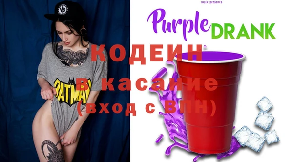 индика Костерёво