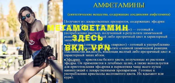 индика Костерёво