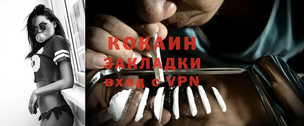индика Костерёво