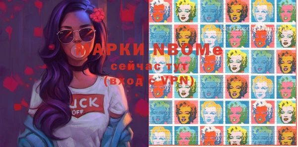 индика Костерёво