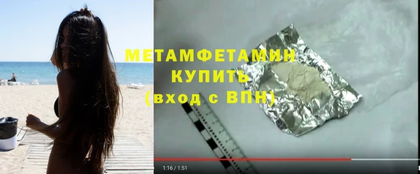 индика Костерёво