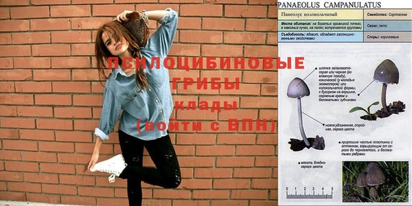 индика Костерёво