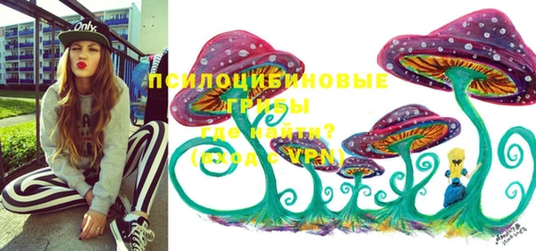 индика Костерёво