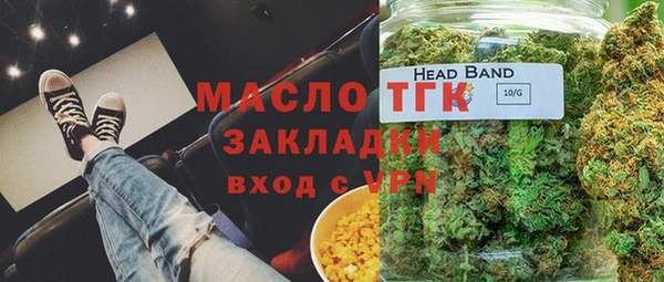 индика Костерёво