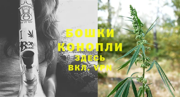 шишки Санкт-Петербург