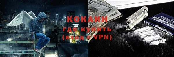 индика Костерёво