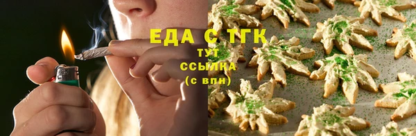 индика Костерёво