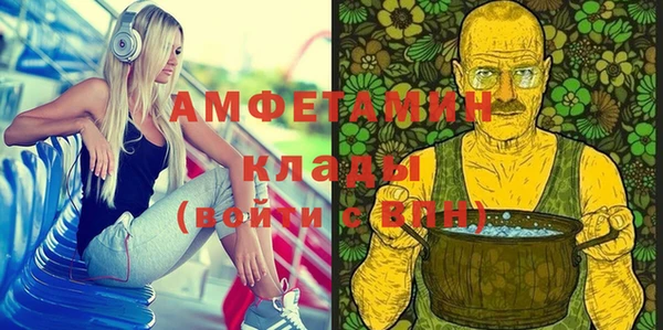 индика Костерёво
