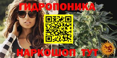 apvp Нягань