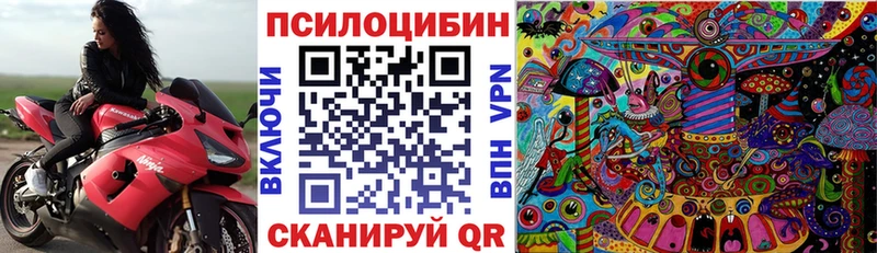 mega tor  наркотики  Строитель  Галлюциногенные грибы MAGIC MUSHROOMS 