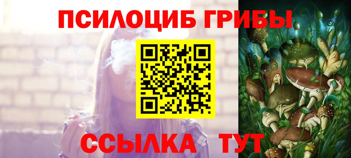 Галлюциногенные грибы Magic Shrooms Строитель